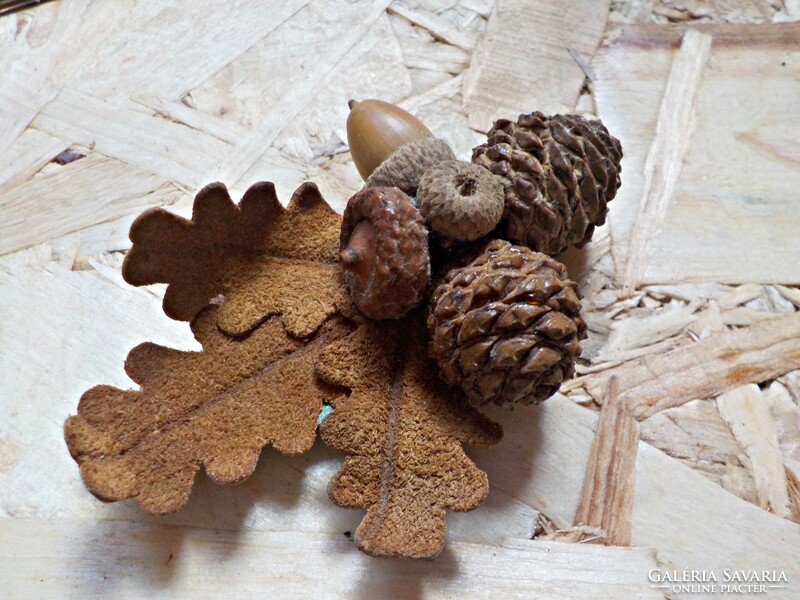 Badge made of leather and fruits