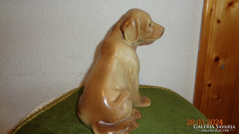 Labrador , kiskutya , jelzett  , 13 x 16 cm