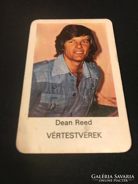 Kártyanaptár Dean Reed Vértestvérek  1977.MOKÉP Moziüzemi vállalat