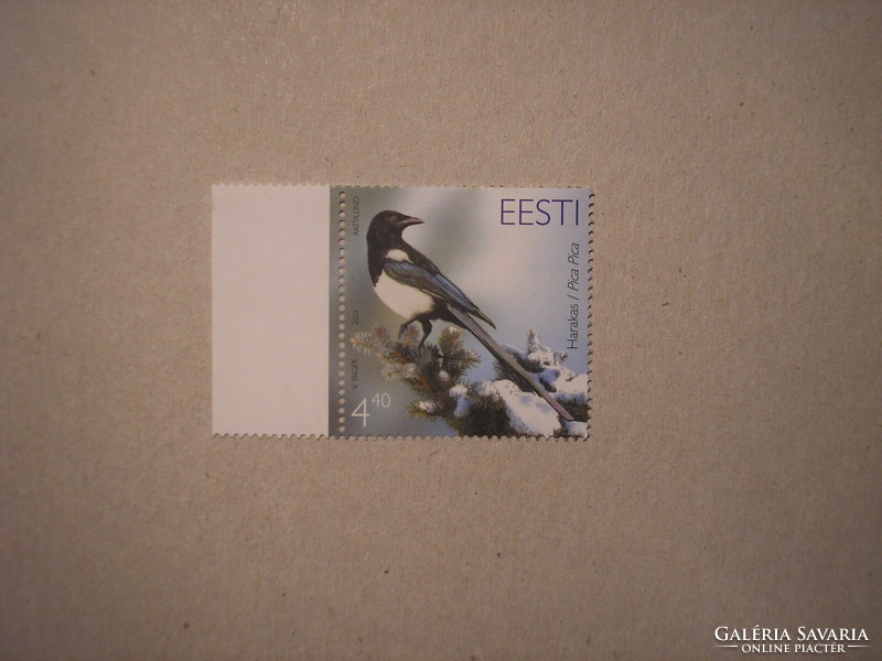 Estonia - fauna, birds, magpies 2003