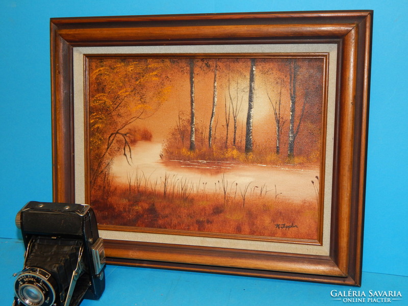 An excellent smaller frame with an external size of 32x40 cm and a gift painting