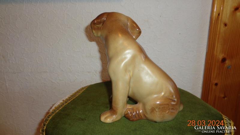 Labrador , kiskutya , jelzett  , 13 x 16 cm