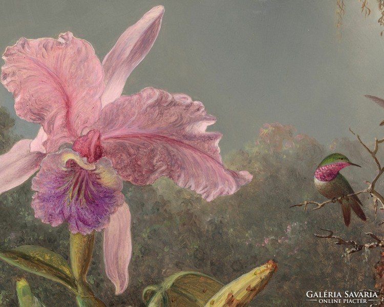Reproduction of Martin Johnson Heade's Orchid and 3 Hummingbirds painting, vintage poster, 1871