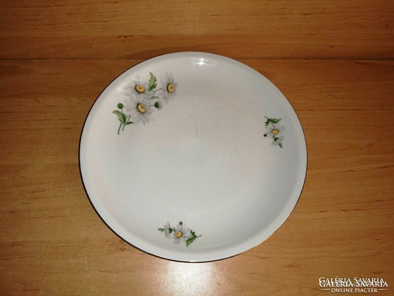 Old-marked Plains porcelain flat plate with daisy pattern, dia. 24 cm (male)