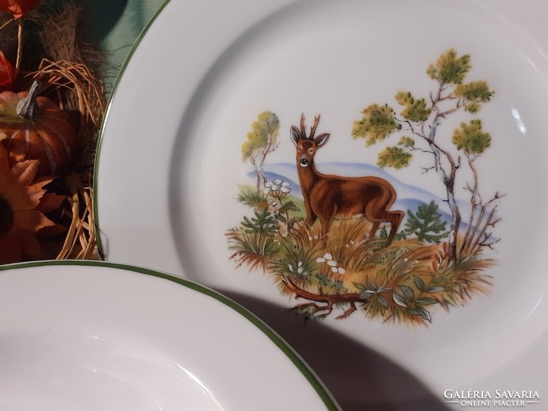 Vadas tányér szettek különböző vadakkal