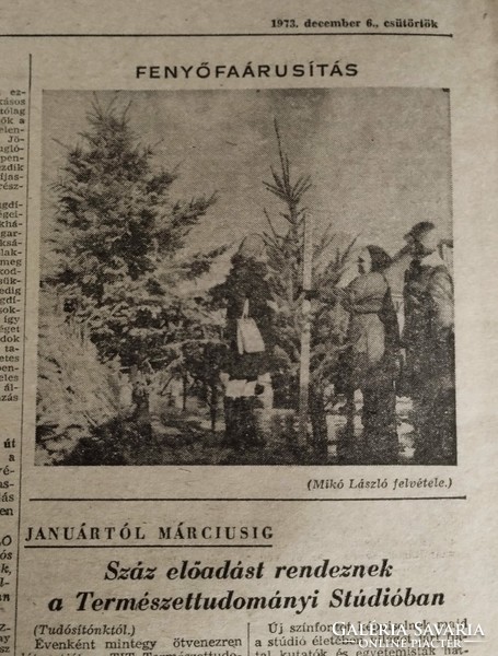 1972 April 1 / people's freedom / birthday! Retro, old original newspaper no.: 10740