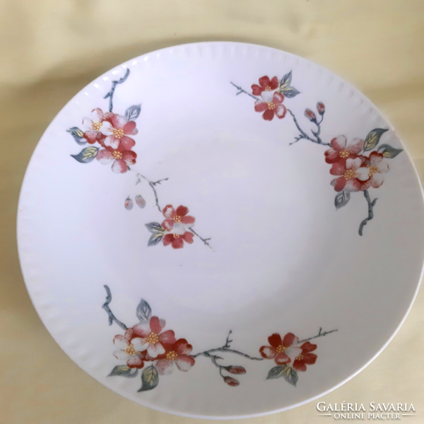 Antique! Porcelain deep plate, hand-painted with wild rose flower pattern
