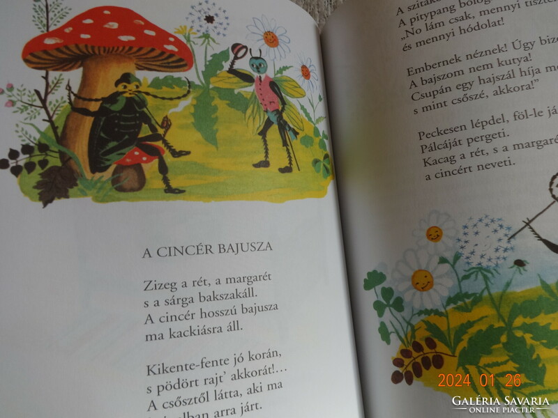 Rich Erzsi: storybook - poems for children k. With drawings by Kató Lukats
