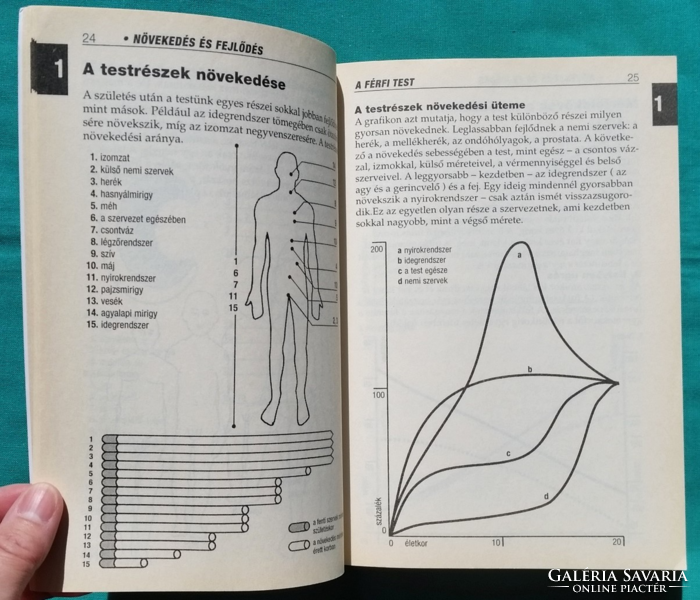 'Nancy bailey: handbook of the male body > general medical, other > human body