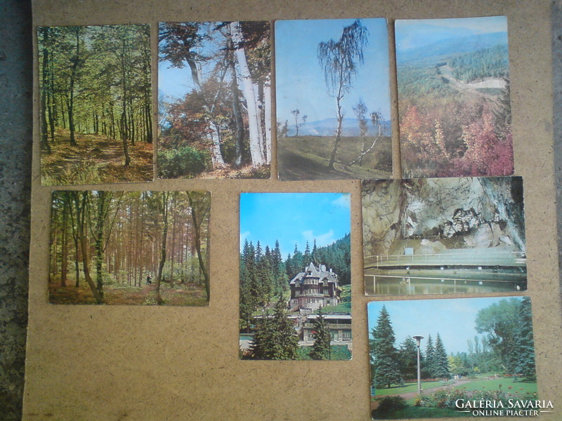 8 Pcs. Postcard depicting a forest and landscape
