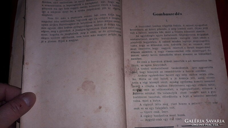 1944. Zsigmond Móricz: Carpathian memory book according to the pictures stadium