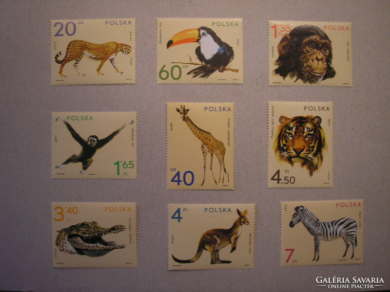 Poland - fauna, zoo animals 1972