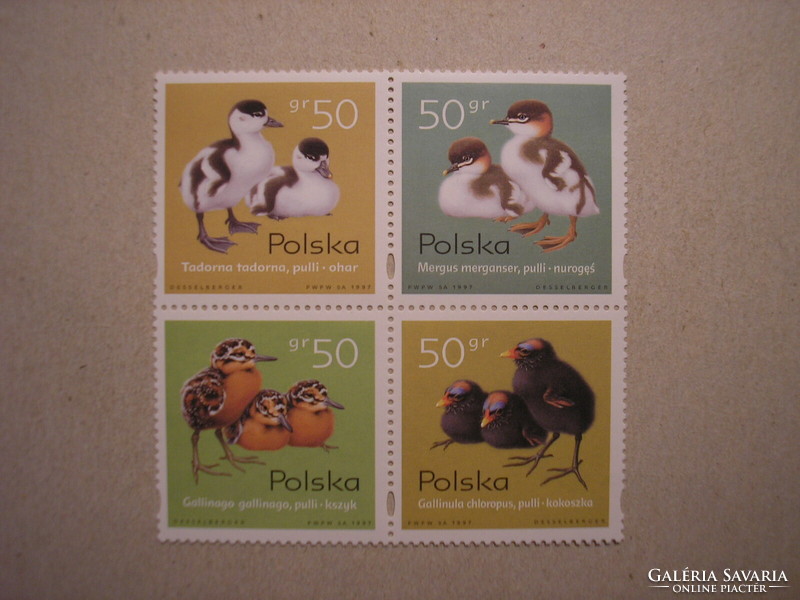 Lengyelország - Fauna, madarak, fiókák 1997