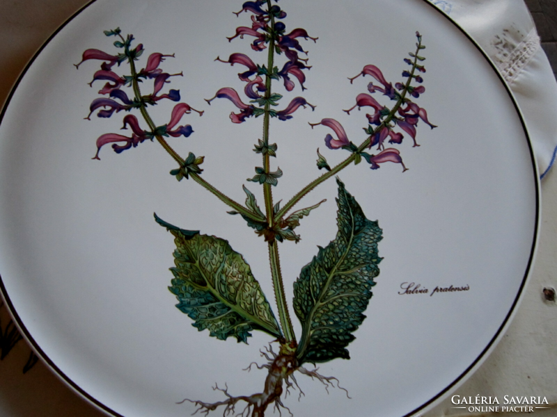 Villeroy and boch botanica field sage salvia pratensis cake plate