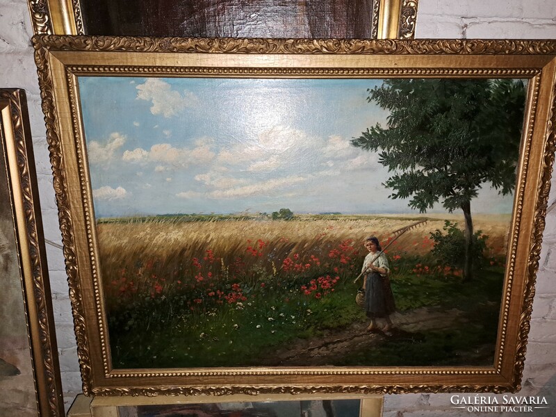 Gyula Zirkóczi's painting of a meadow with poppies