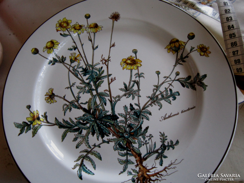 2 Villeroy and boch botanica piping pattern bowl anthemis tinctoria