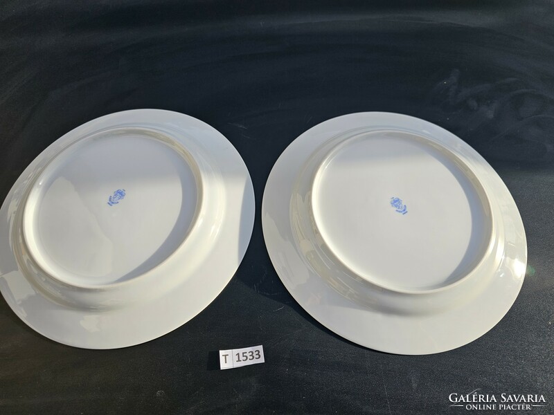 T1533 Alföldi centrum varia / covid / flat plate 2 pieces 24 cm