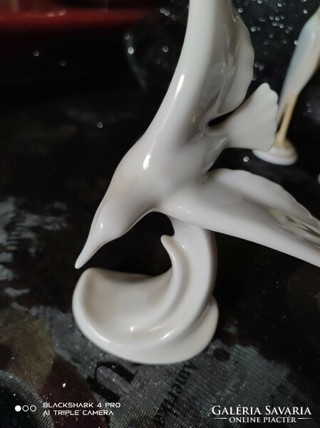 Hófehér porcelán sirály