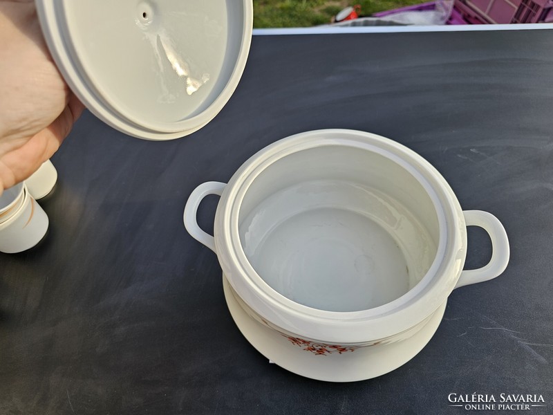 T1545 Lowland rosehip pattern soup bowl