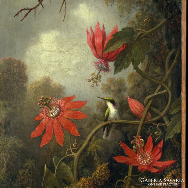 Reproduction of Martin Johnson Heade's Hummingbird and Passionflower, print 52*32 cm