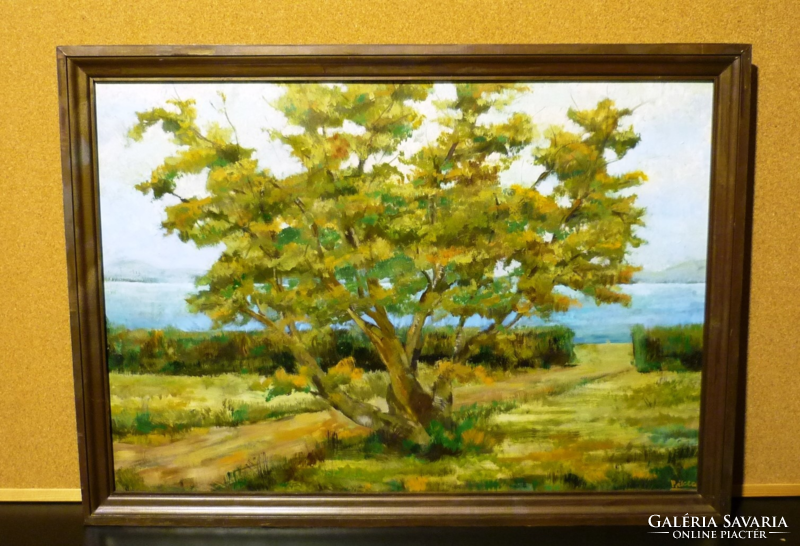 tree on the bank of Balaton. It can be an excellent gift as a living decoration. Signed picture.