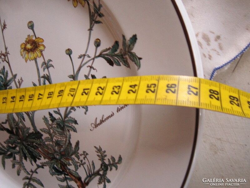 2 Villeroy and boch botanica piping pattern bowl anthemis tinctoria