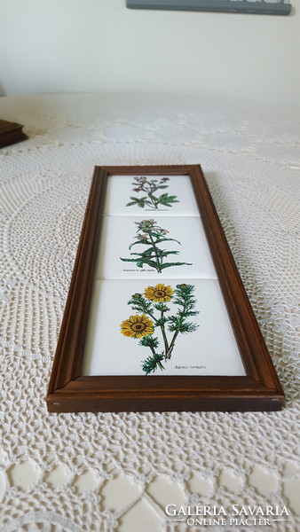 A framed tile image with a medicinal plant motif