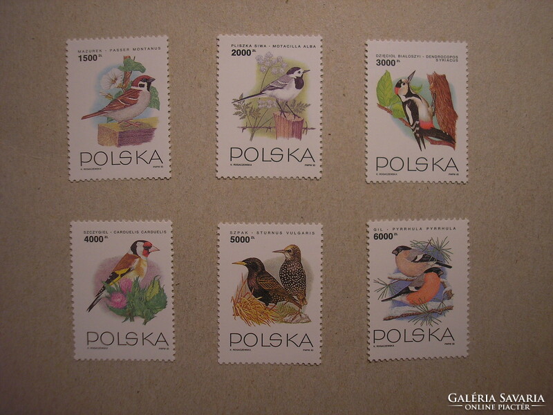 Poland - fauna, birds 1993