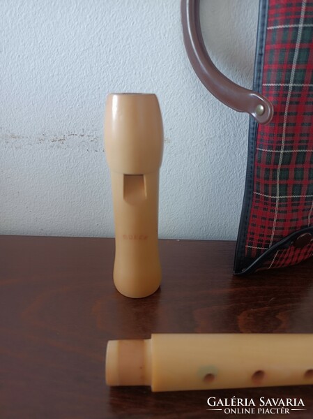 Wooden flute with a beautiful case