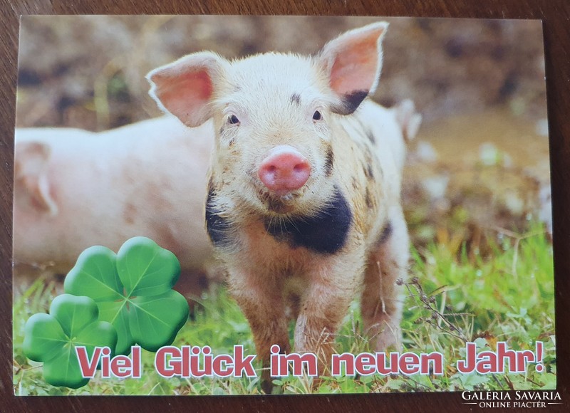 New Year greeting postcard postcard greeting card greeting card pig