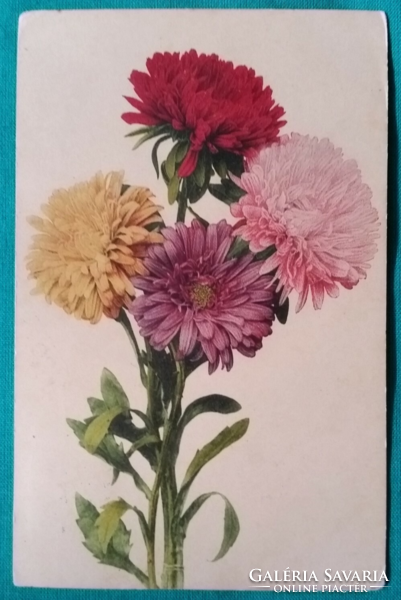 Antik virágos üdvözlő képeslap