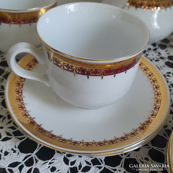 Thun Czech burgundy-gold tea set