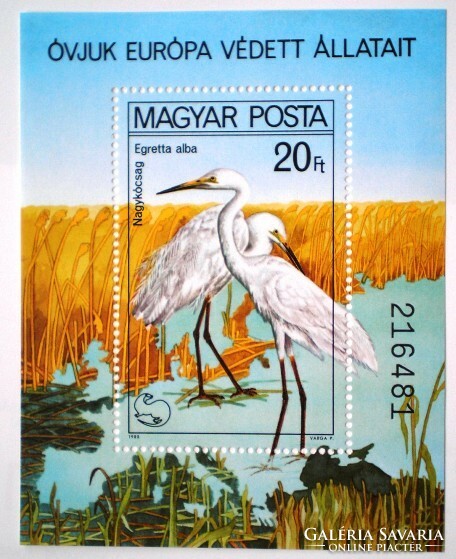 B146 / 1980 Madarak - Védett vízimadarak blokk postatiszta