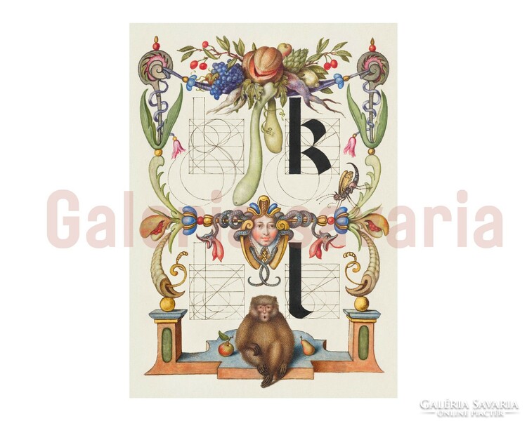 K L betűk gazdagon díszítve a 16. századból, a Mira Calligraphiae Monumenta alkotásból