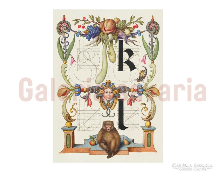 K l letters richly decorated from the 16th century, from the work mira calligraphiae monumenta