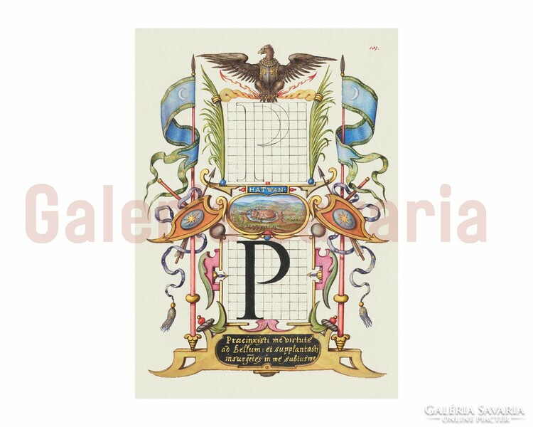 The letter B richly decorated from the 16th century, from the work mira calligraphiae monumenta