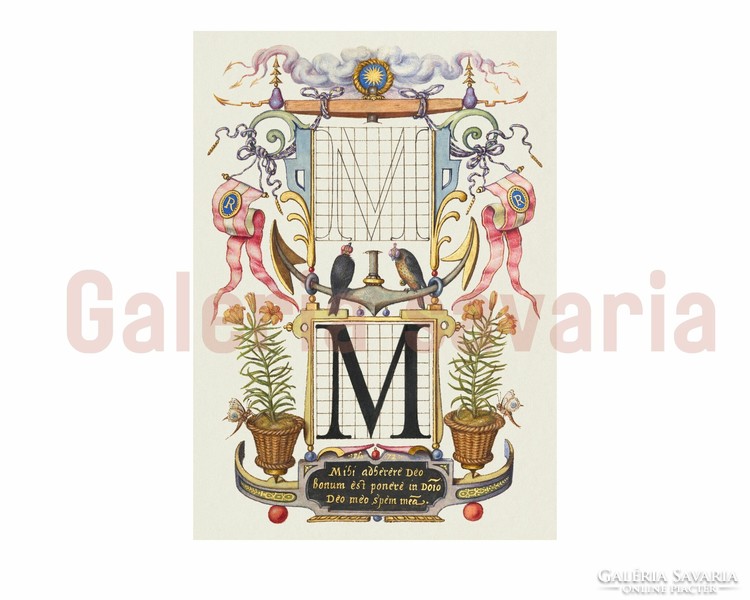 Letter L richly decorated from the 16th century, from the work mira calligraphiae monumenta