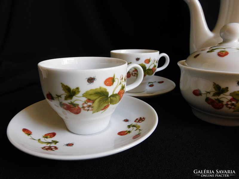 Ilmenau coffee set with strawberry pattern - 5 persons