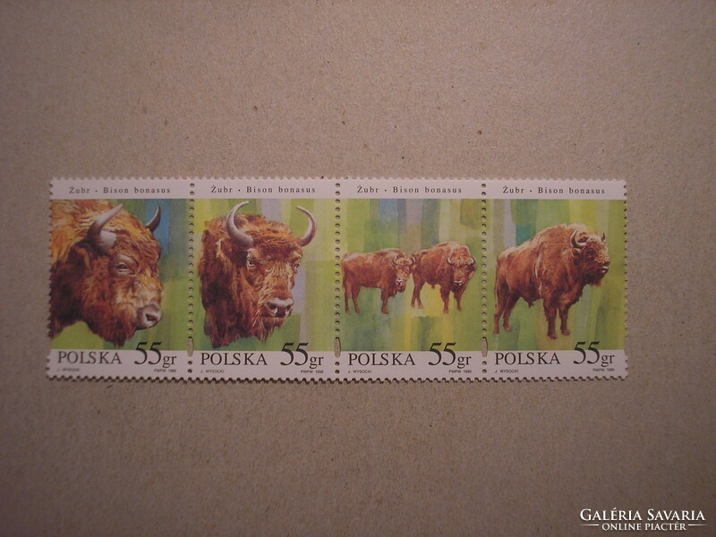 Poland - fauna, animals, bison 1996