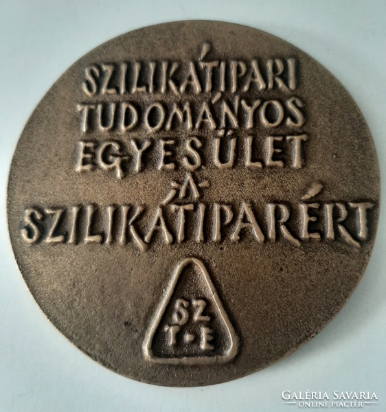 Bronze commemorative plaque of the silicate industry scientific association in a box, double-sided 7.5 cm