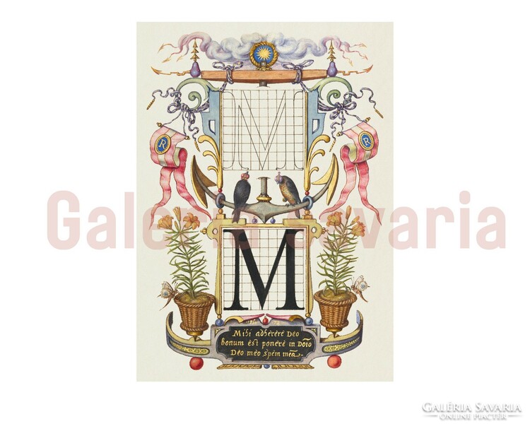 Richly decorated letter R from the 16th century, mira calligraphiae monumenta