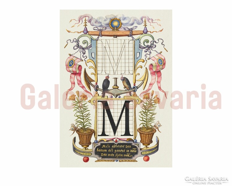 The letter N richly decorated from the 16th century, from the work mira calligraphiae monumenta