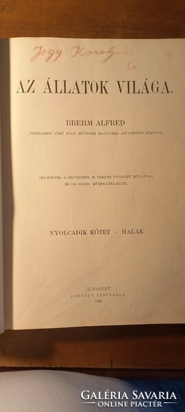 Brehm's world of animals 1903, birds-second volume