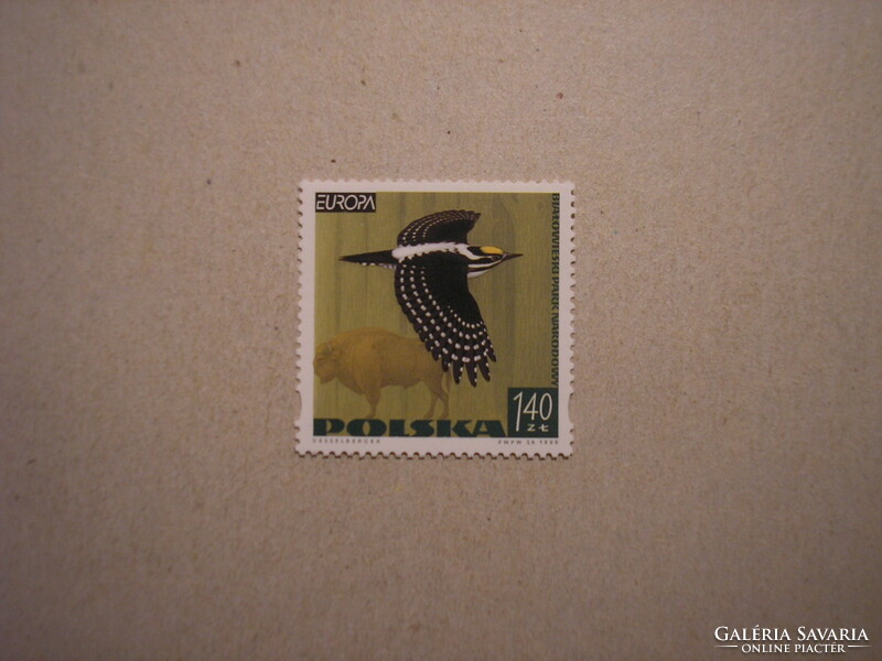 Poland - fauna, Europe, birds 1999