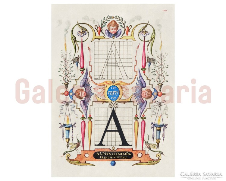 The letter G richly decorated from the 16th century, from the work mira calligraphiae monumenta