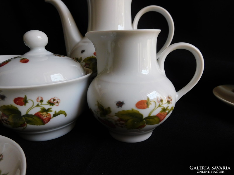 Ilmenau coffee set with strawberry pattern - 5 persons