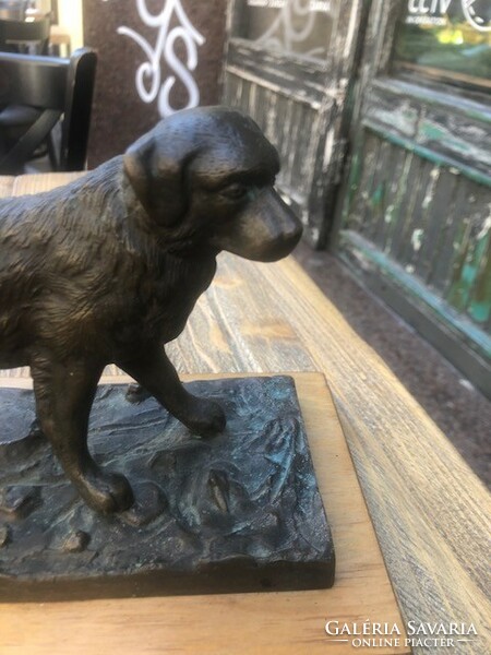 Kutya szobor, bronzból, 22 x 13  cm-es nagyságú, ajándéknak kiváló.art deco