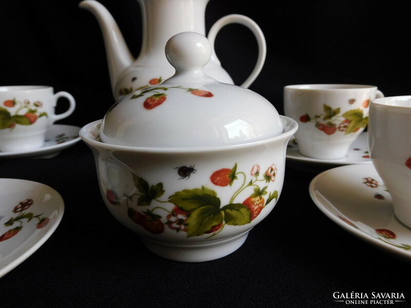 Ilmenau coffee set with strawberry pattern - 5 persons