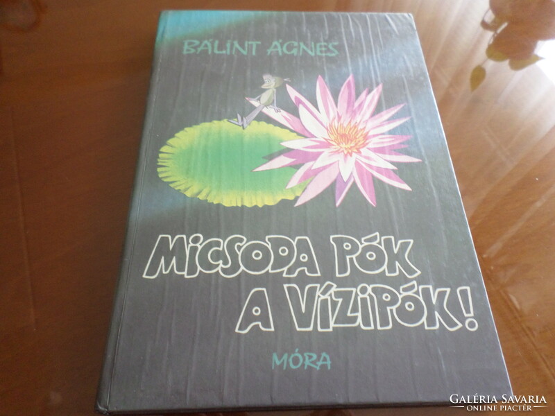 BÁLINT ÁGNES MICSODA PÓK A VÍZIPÓK! 1985