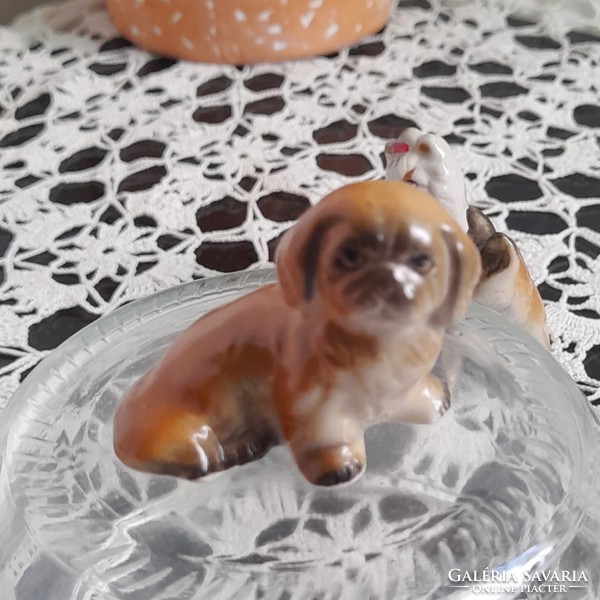 Porcelán mini kutyusok 5 db jelzetlen
